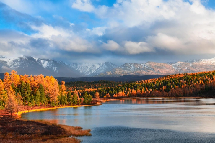 Алтай — новый Дубай: почему там стало так дорого?