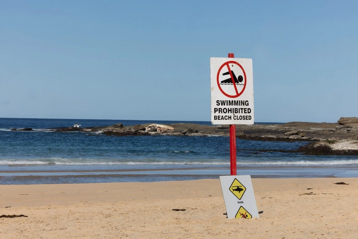 Комки жира и запах гниющей плоти: на сиднейском пляже медленно разлагается 25-тонный кашалот