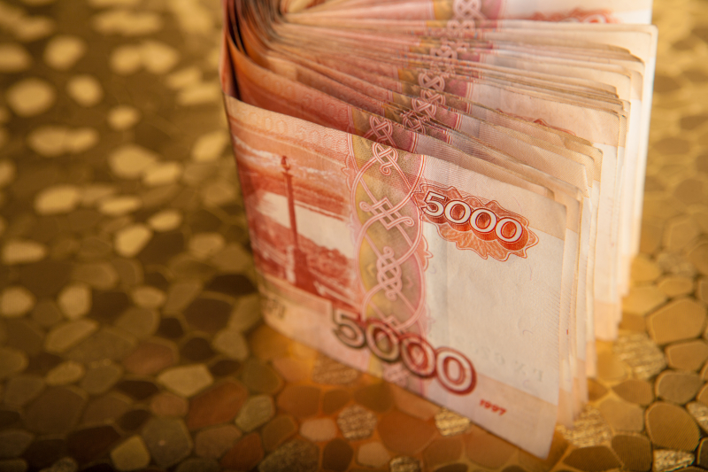 В СПЧ назвали реальные условия для справедливой выдачи детских пособий мигрантам: "Ты же в общий котёл залезаешь"