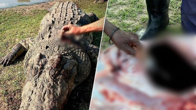 С ботинками: крокодил съел владельца гостиницы в ЮАР и еще пятерых человек